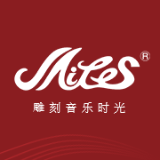 揭西縣美樂斯電子電器廠實業有限公司