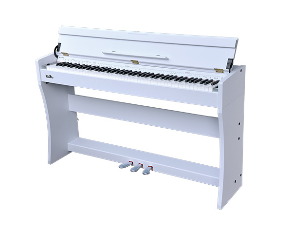 DP-2100